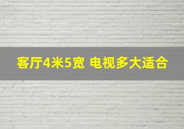 客厅4米5宽 电视多大适合